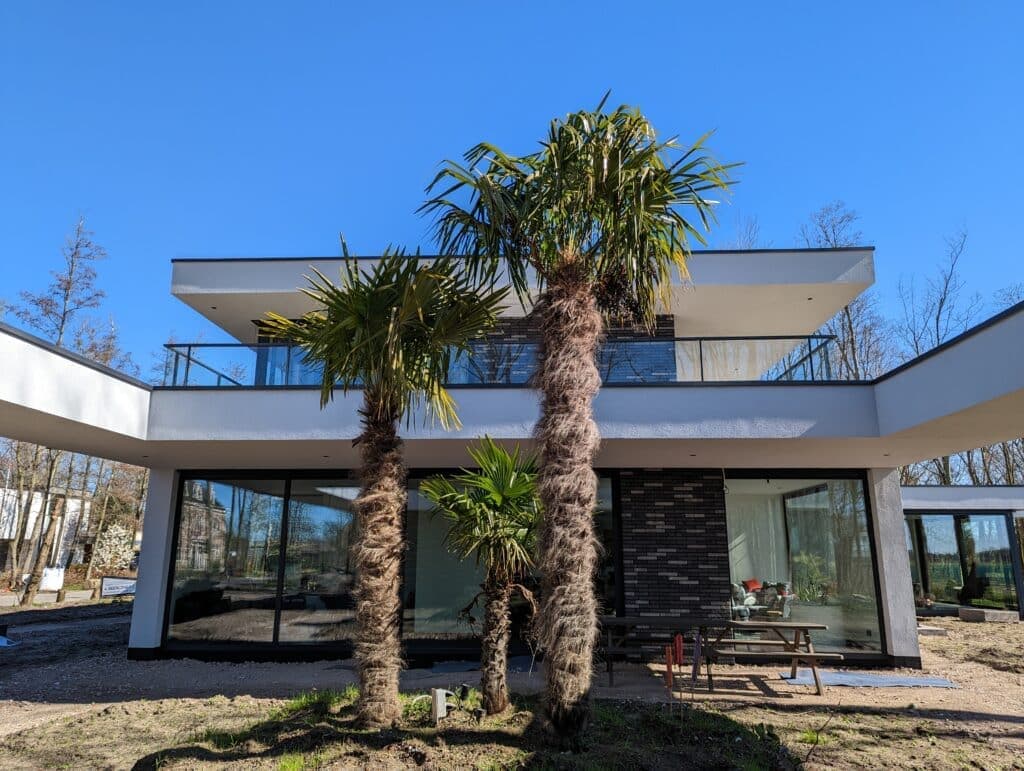 Stucwerk laten doen: wat kost het?